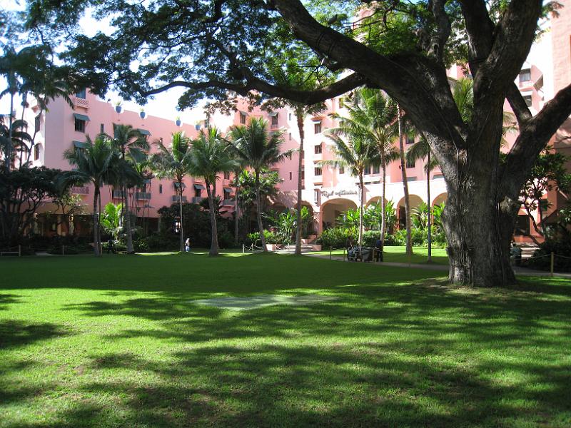 IMG_4153.JPG - Coconut Grove Garden side of Royal Hawaiian Hotel.  Looks the same as it has for decades.